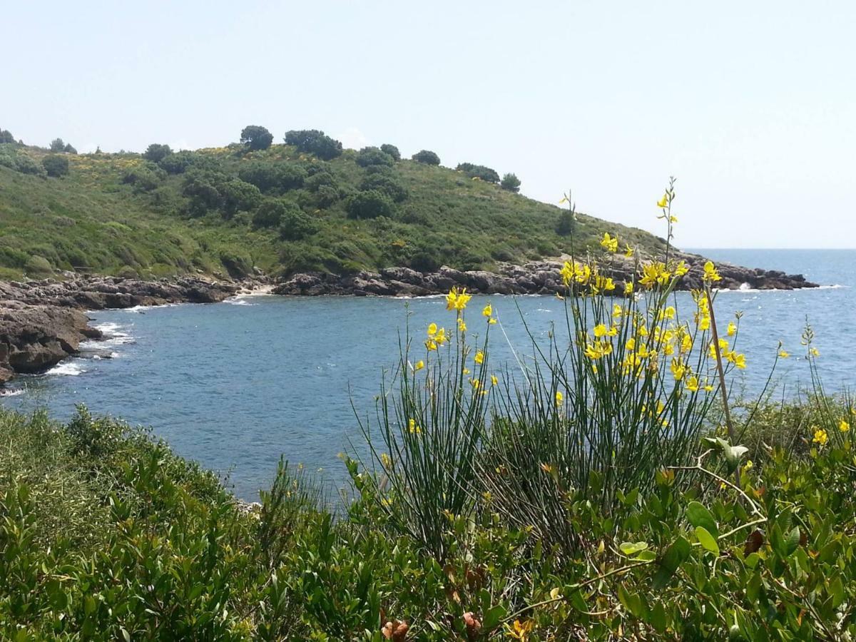 Parco Dei Gerani - Il Monolocale E La Camera - Room And Studio Formia Buitenkant foto